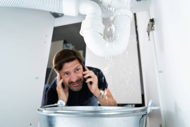 Best Local Plumber Services  in Porter, IN