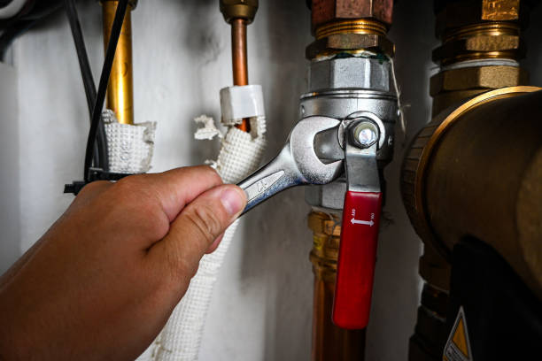 Best Plumbing Inspection Services  in Porter, IN